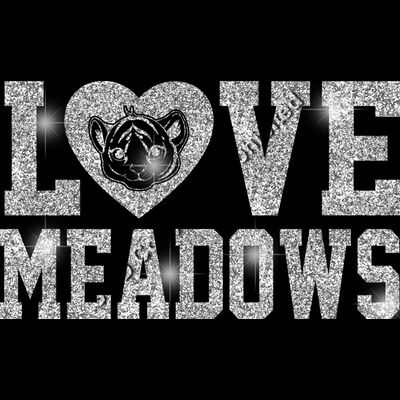 GLT51 SILVER GLITTER Thumbnail