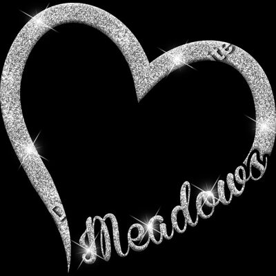 GLT36 SILVER GLITTER Thumbnail