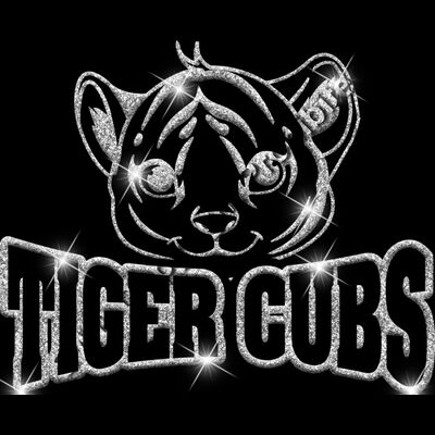 GLT32 SILVER GLITTER Thumbnail